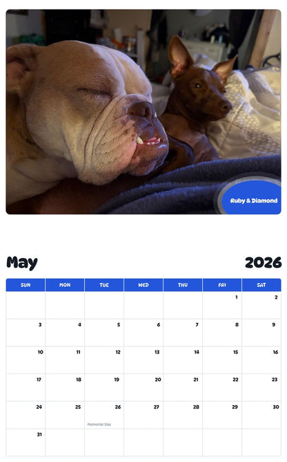 2026 - 2027 Ruby & Diamond - Pawidols Pet Calendar