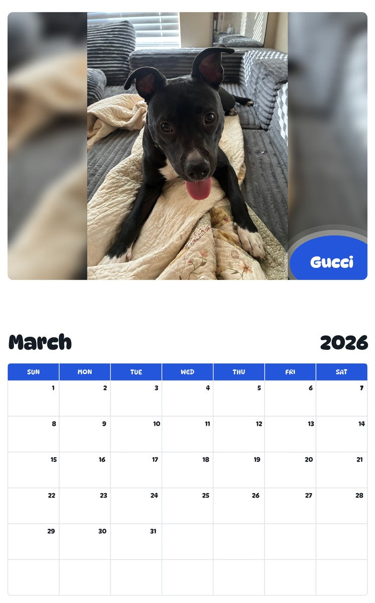 November 2025 - October 2026 Gucci - Pawidols Pet Calendar