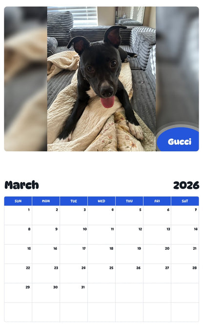November 2025 - October 2026 Gucci - Pawidols Pet Calendar