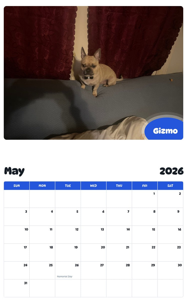 2026 - 2027 Gizmo - Pawidols Pet Calendar