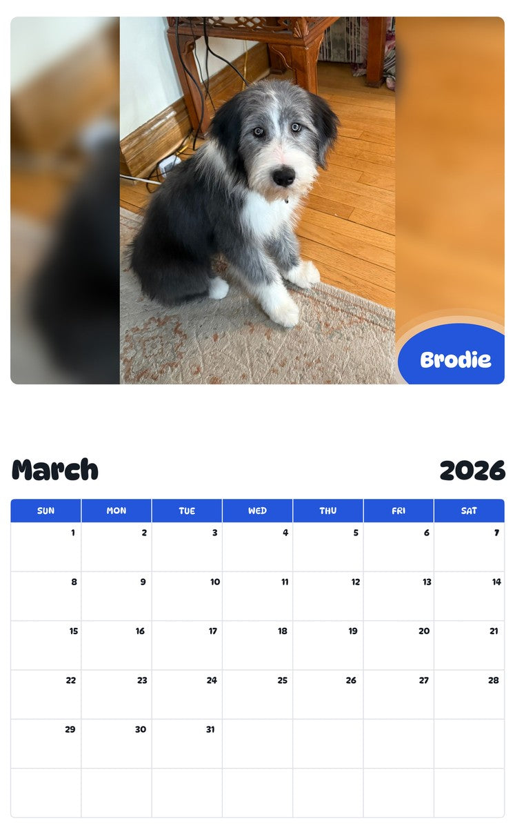 November 2025 - October 2026 Brodie - Pawidols Pet Calendar