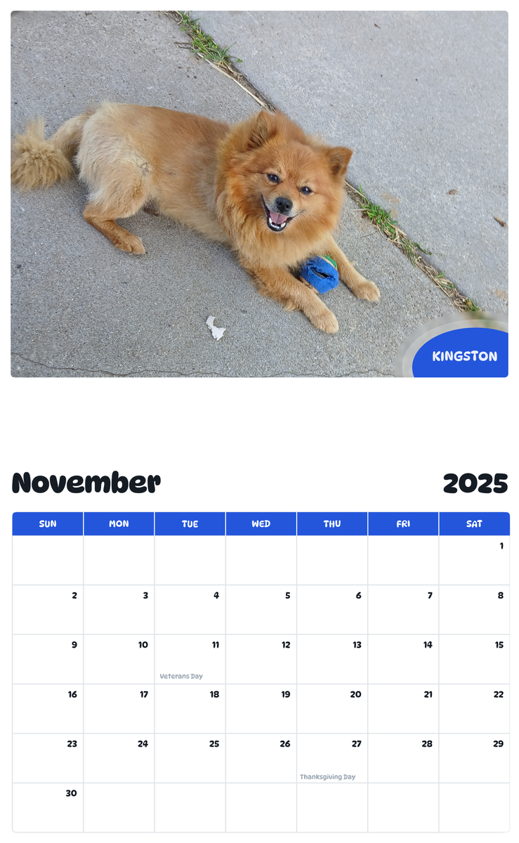 July 2025 - June 2026 Kingston - Pawidols Pet Calendar