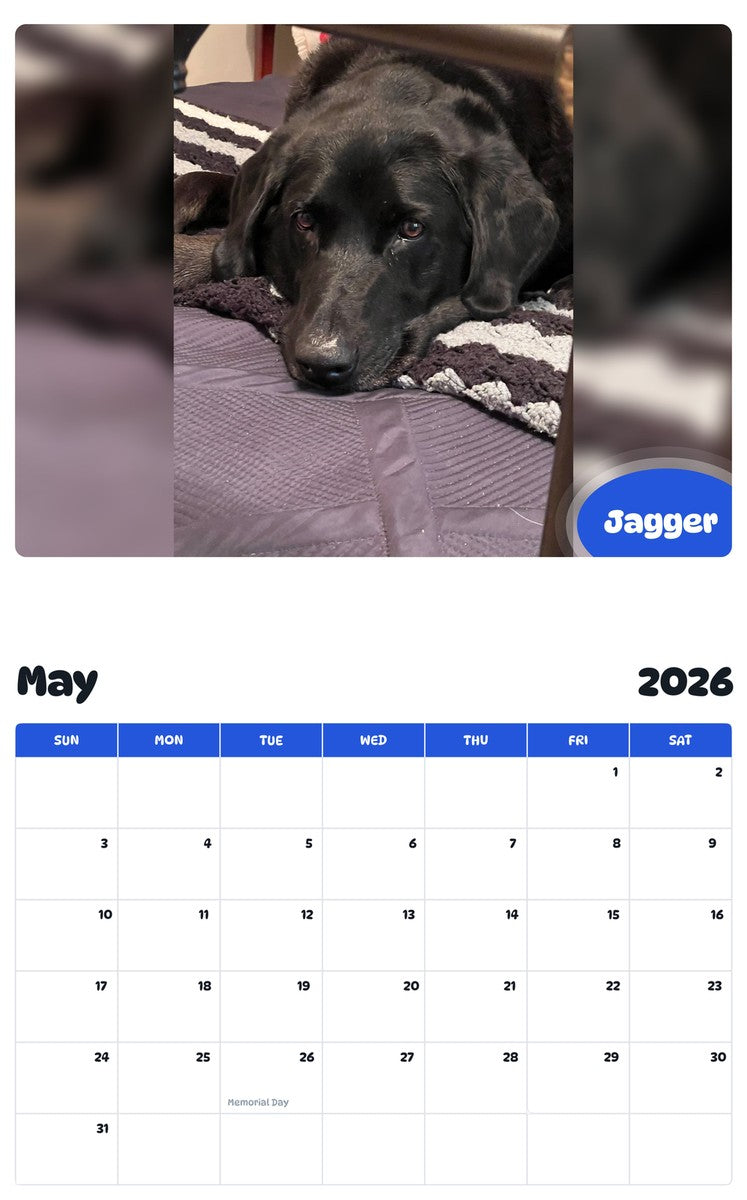 2026 - 2027 Jagger - Pawidols Pet Calendar