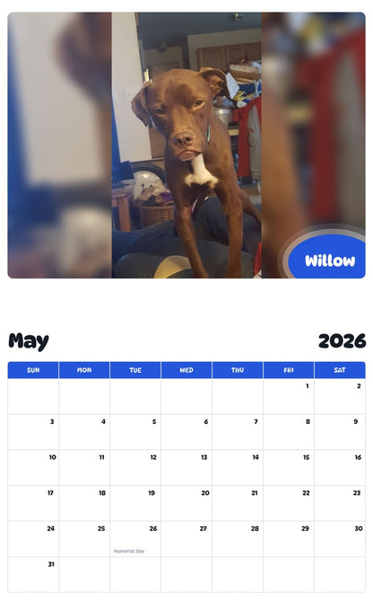 2026 - 2027 Willow - Pawidols Pet Calendar