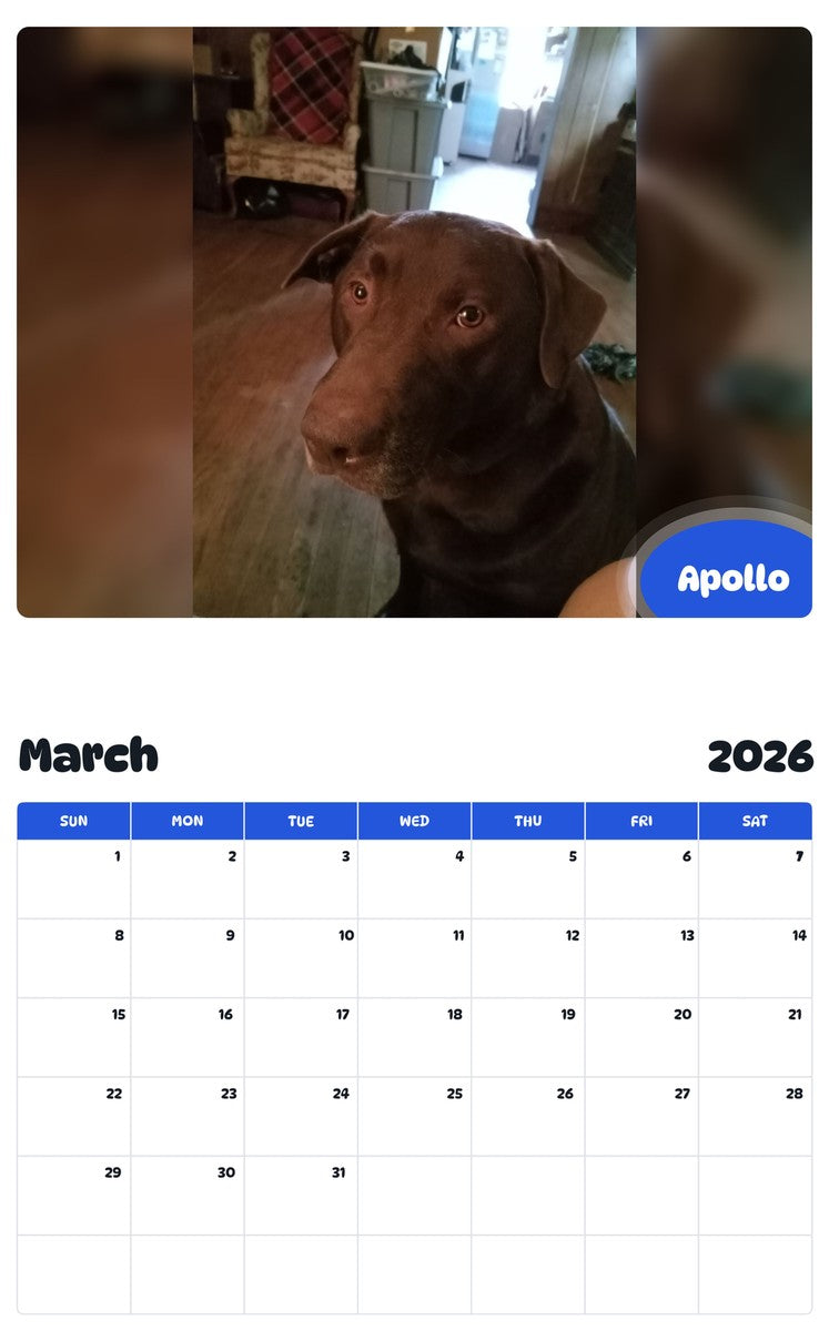 November 2025 - October 2026 Apollo - Pawidols Pet Calendar