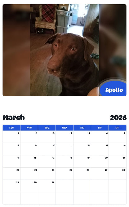 November 2025 - October 2026 Apollo - Pawidols Pet Calendar