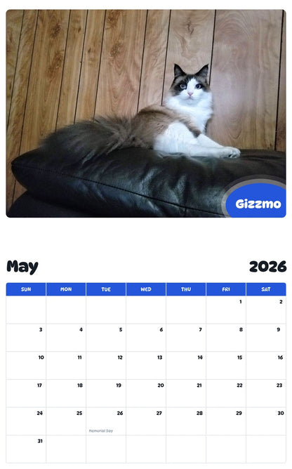 2026 - 2027 Gizzmo - Pawidols Pet Calendar