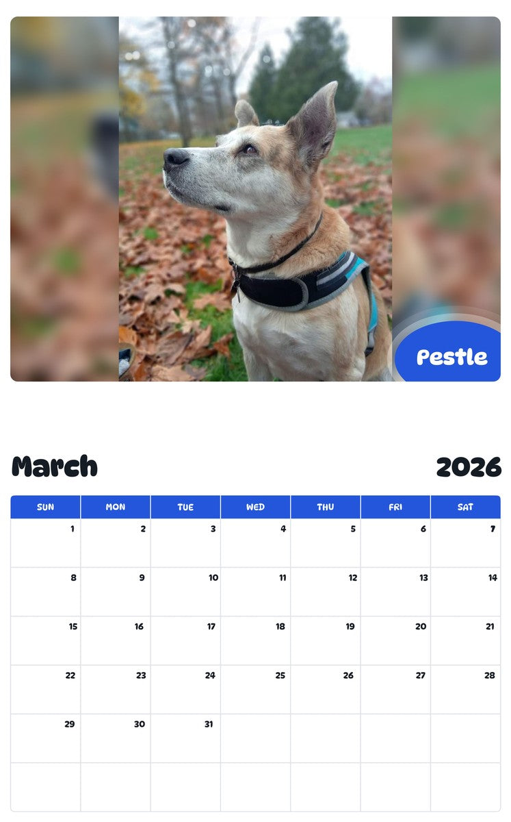 November 2025 - October 2026 Pestle - Pawidols Pet Calendar