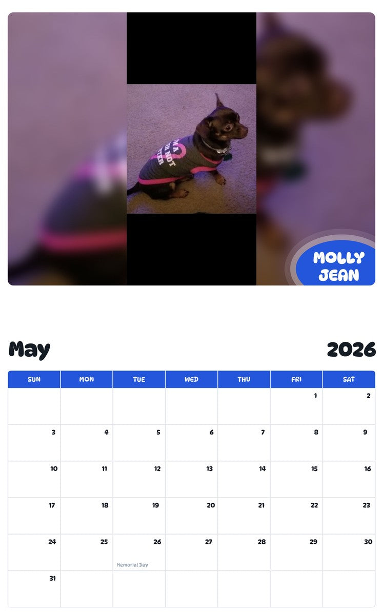 2026 - 2027 MOLLY JEAN - Pawidols Pet Calendar