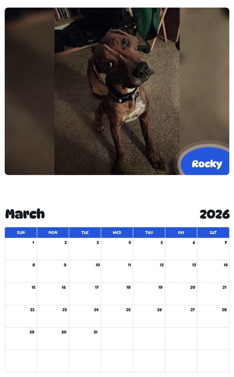November 2025 - October 2026 Rocky - Pawidols Pet Calendar
