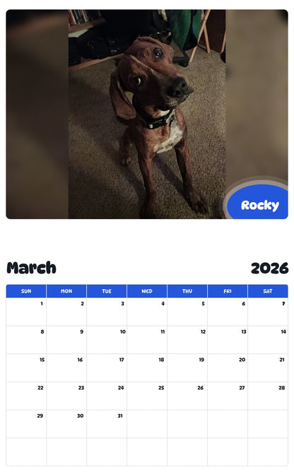 November 2025 - October 2026 Rocky - Pawidols Pet Calendar