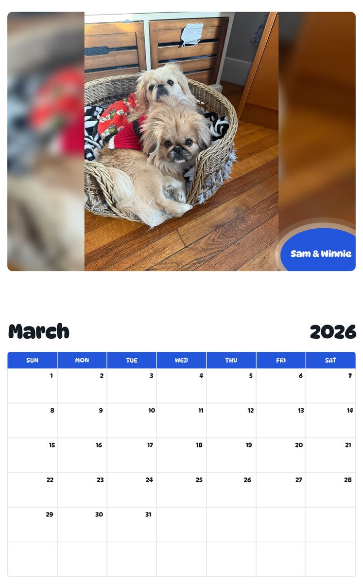 November 2025 - October 2026 Sam & Winnie - Pawidols Pet Calendar