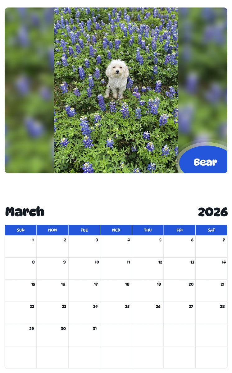 November 2025 - October 2026 Bear - Pawidols Pet Calendar