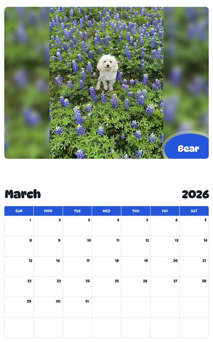 November 2025 - October 2026 Bear - Pawidols Pet Calendar