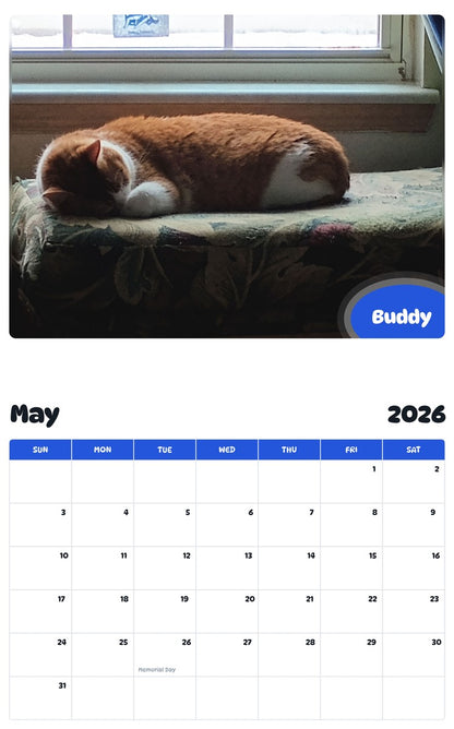 2026 - 2027 Buddy - Pawidols Pet Calendar