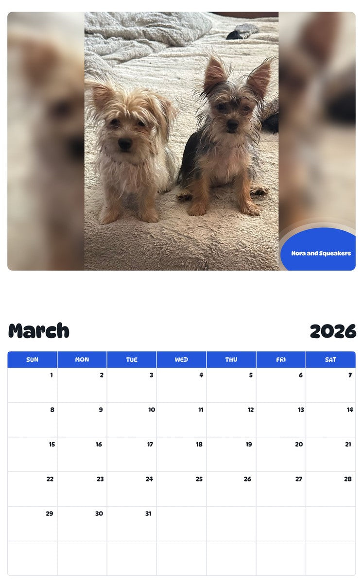 November 2025 - October 2026 Nora and Squeakers - Pawidols Pet Calendar