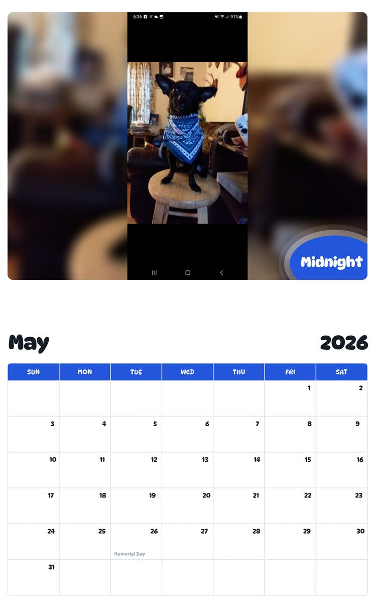2026 - 2027 Midnight - Pawidols Pet Calendar