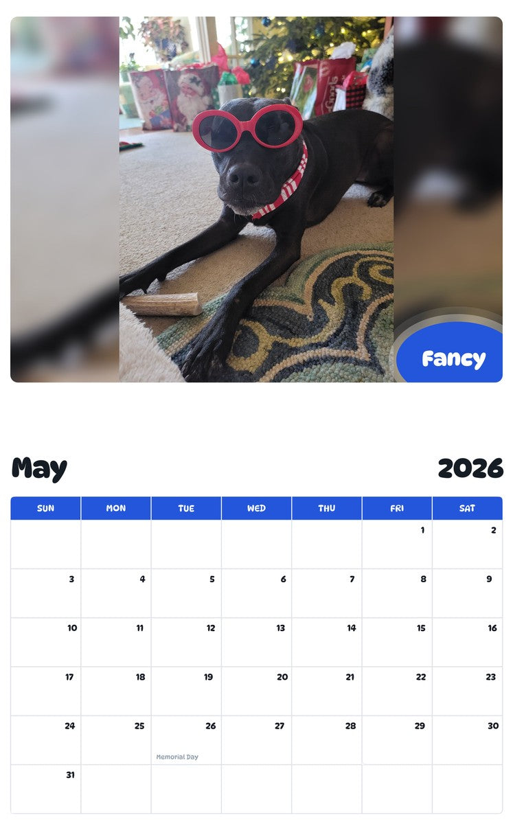2026 - 2027 Fancy - Pawidols Pet Calendar
