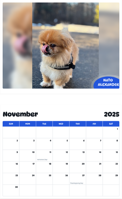 July 2025 - June 2026 NATO Alexander - Pawidols Pet Calendar