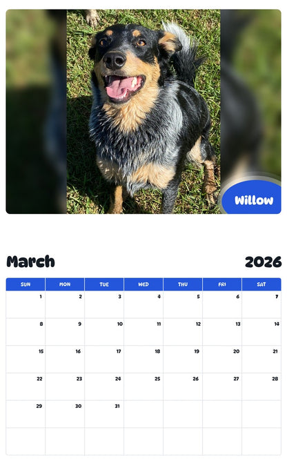November 2025 - October 2026 Willow - Pawidols Pet Calendar