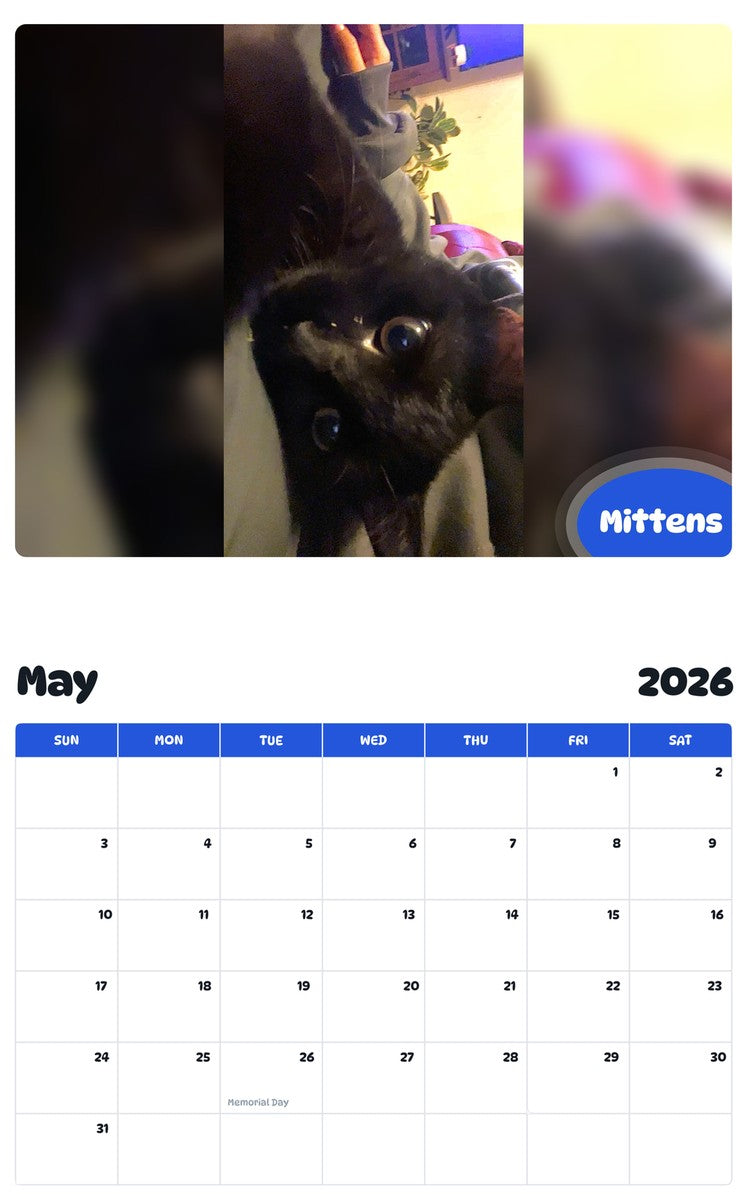 2026 - 2027 Mittens - Pawidols Pet Calendar