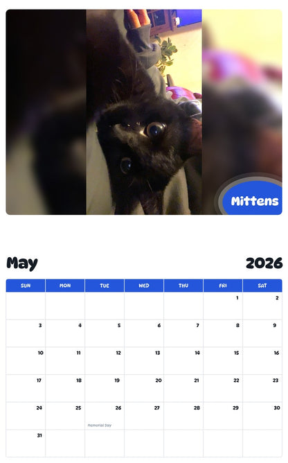 2026 - 2027 Mittens - Pawidols Pet Calendar