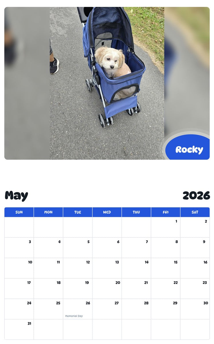 2026 - 2027 Rocky - Pawidols Pet Calendar