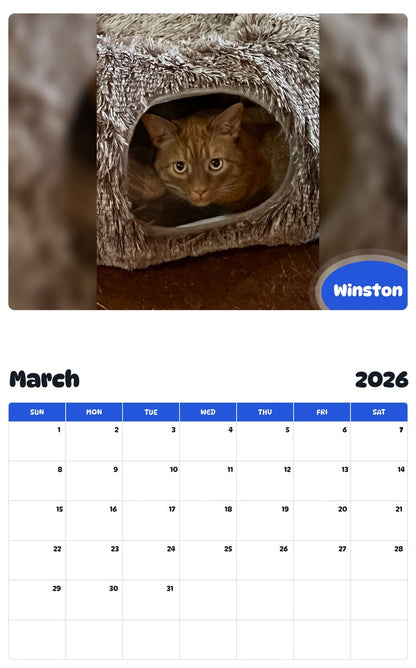 November 2025 - October 2026 Winston - Pawidols Pet Calendar