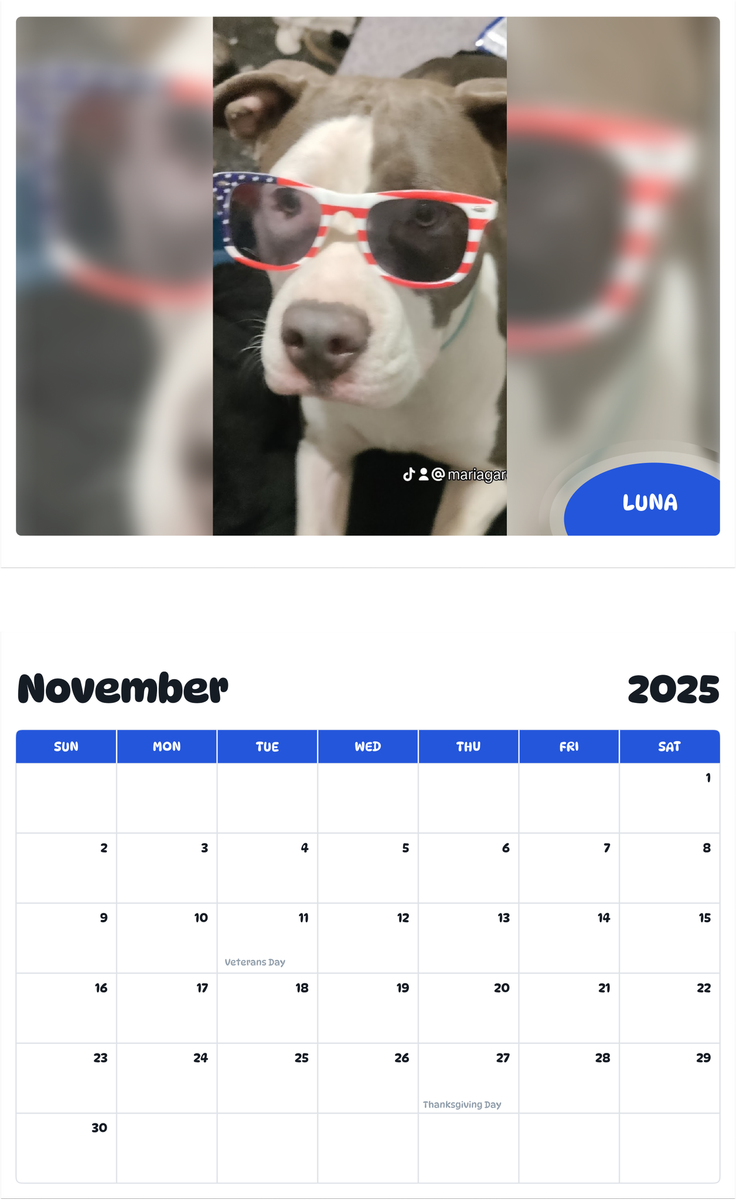 July 2025 - June 2026 Luna - Pawidols Pet Calendar