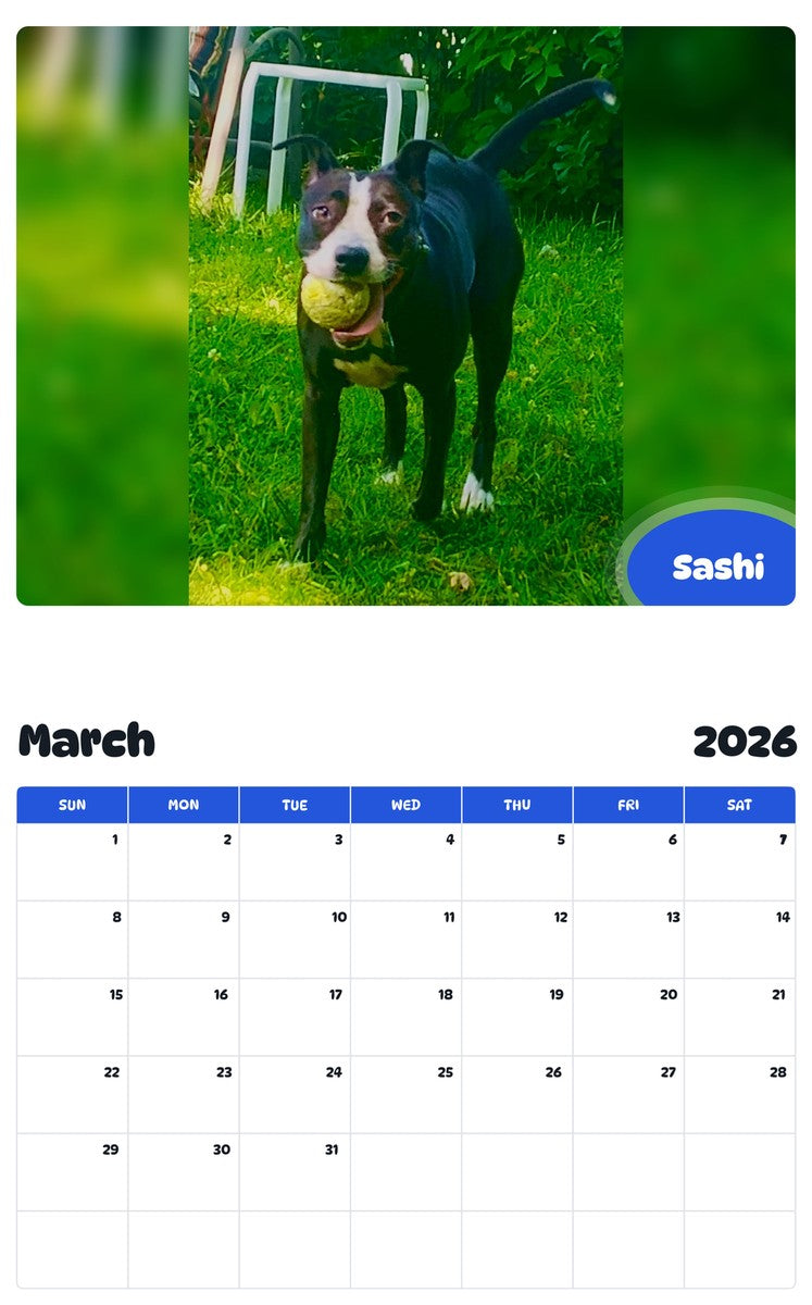 November 2025 - October 2026 Sashi - Pawidols Pet Calendar