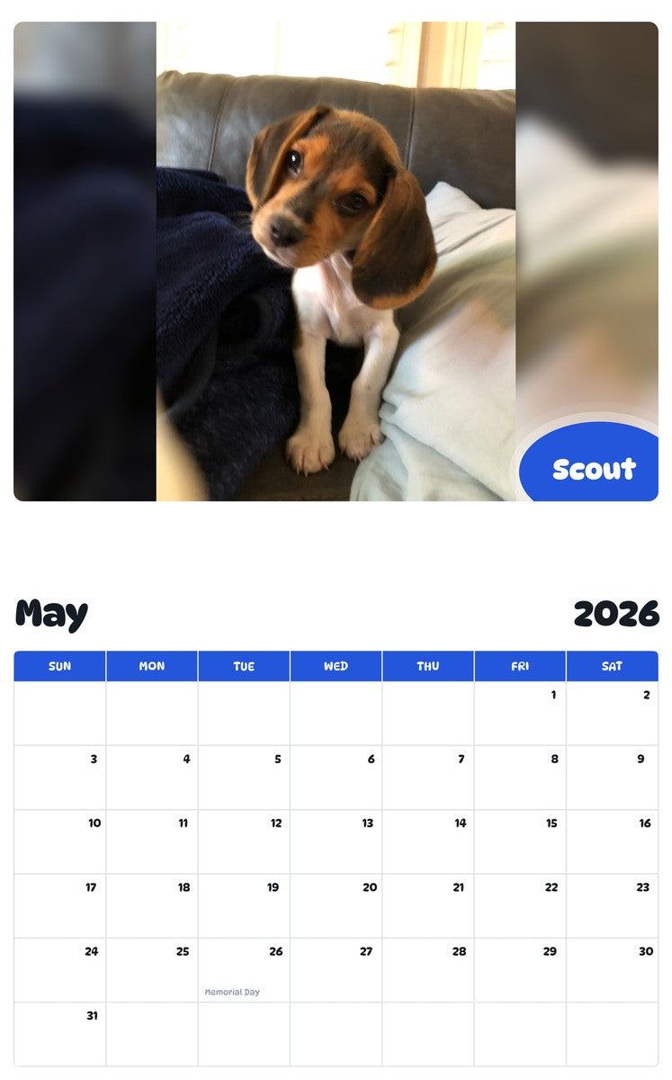 2026 - 2027 Scout - Pawidols Pet Calendar
