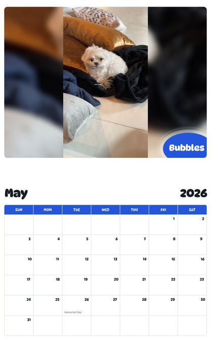 2026 - 2027 Bubbles - Pawidols Pet Calendar