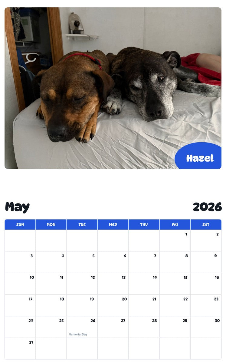 2026 - 2027 Hazel - Pawidols Pet Calendar