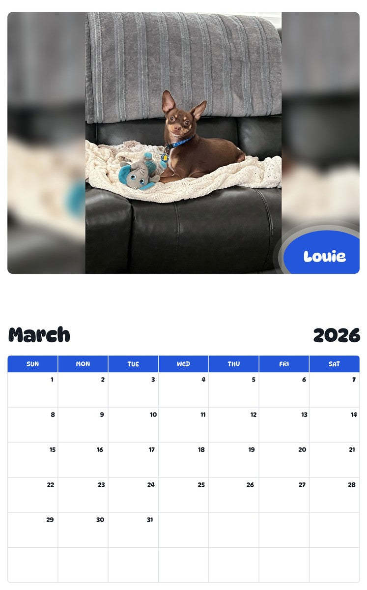 November 2025 - October 2026 Louie - Pawidols Pet Calendar