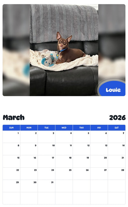 November 2025 - October 2026 Louie - Pawidols Pet Calendar