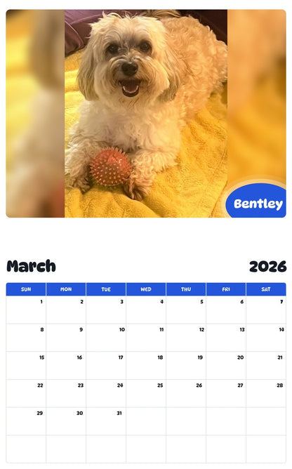November 2025 - October 2026 Bentley - Pawidols Pet Calendar