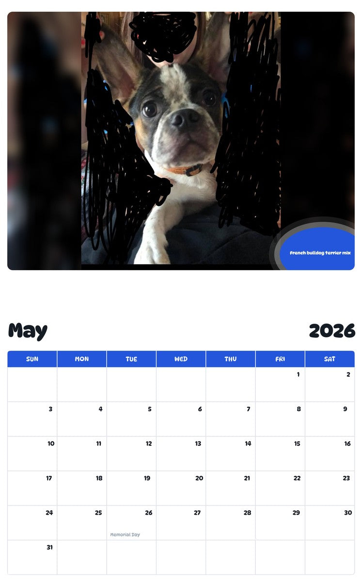 2026 - 2027 French bulldog terrier mix - Pawidols Pet Calendar