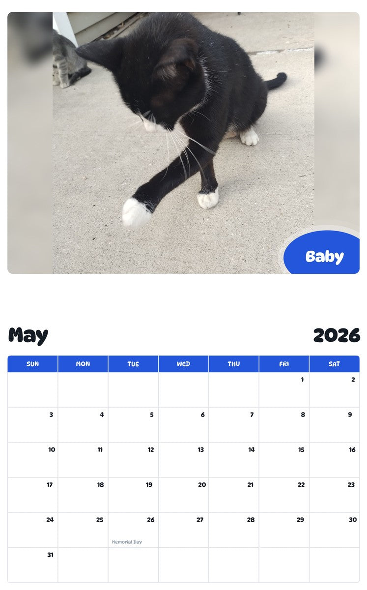 2026 - 2027 Baby - Pawidols Pet Calendar