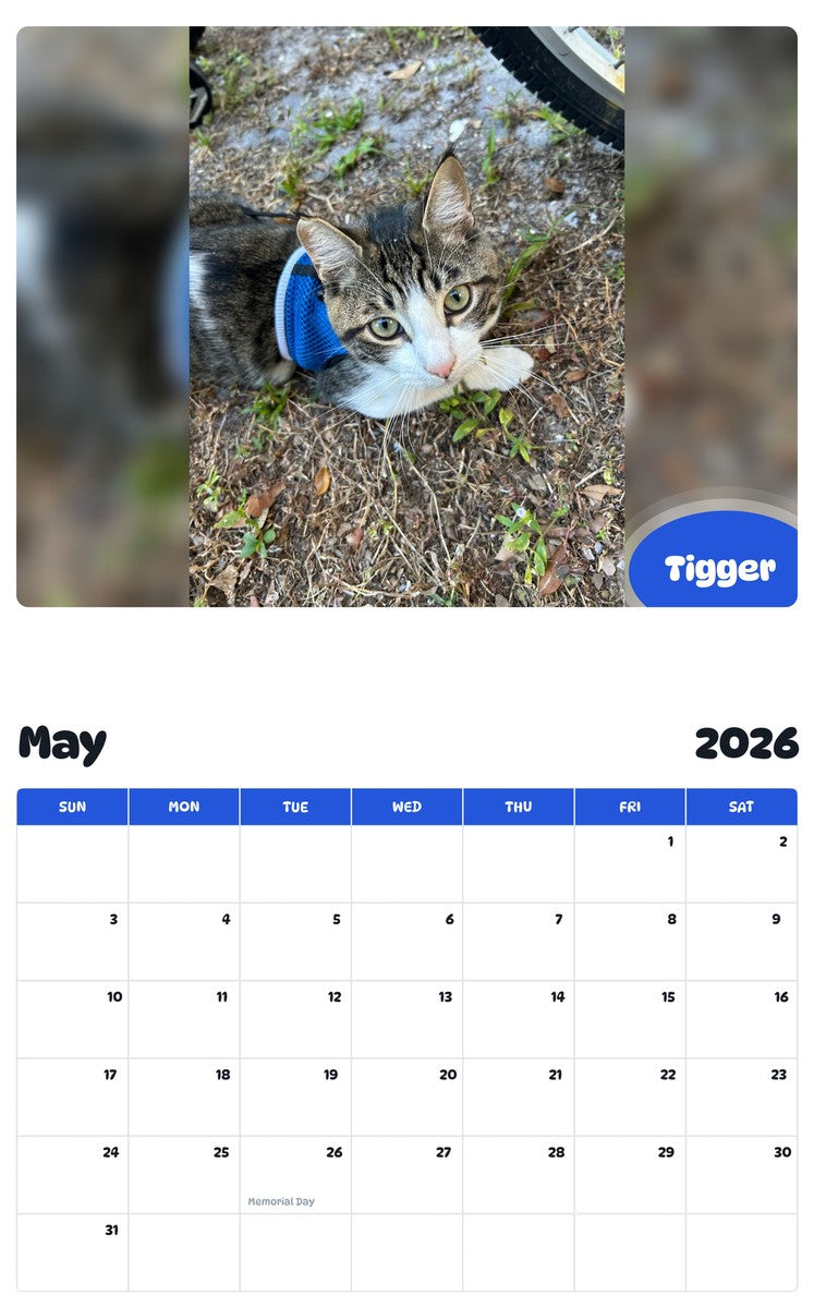 2026 - 2027 Tigger - Pawidols Pet Calendar
