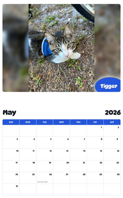 2026 - 2027 Tigger - Pawidols Pet Calendar