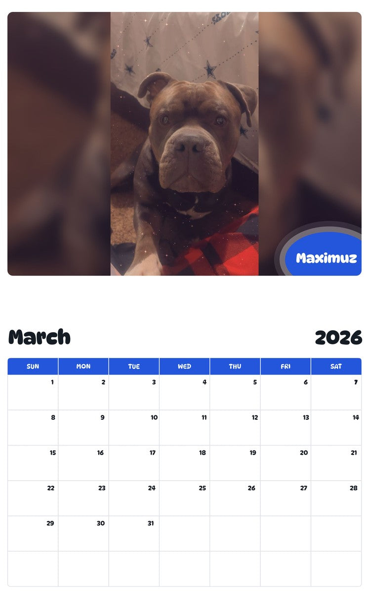 November 2025 - October 2026 Maximuz - Pawidols Pet Calendar