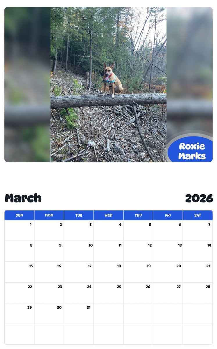 November 2025 - October 2026 Roxie Marks - Pawidols Pet Calendar