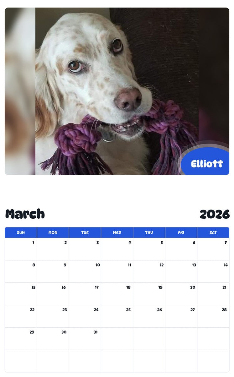 November 2025 - October 2026 Elliott - Pawidols Pet Calendar
