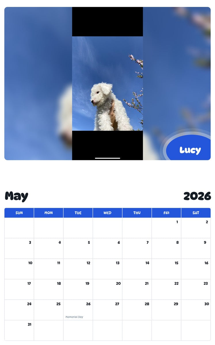 2026 - 2027 Lucy - Pawidols Pet Calendar