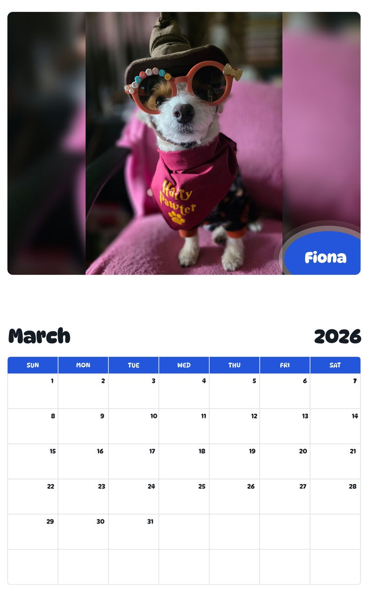 November 2025 - October 2026 Fiona - Pawidols Pet Calendar