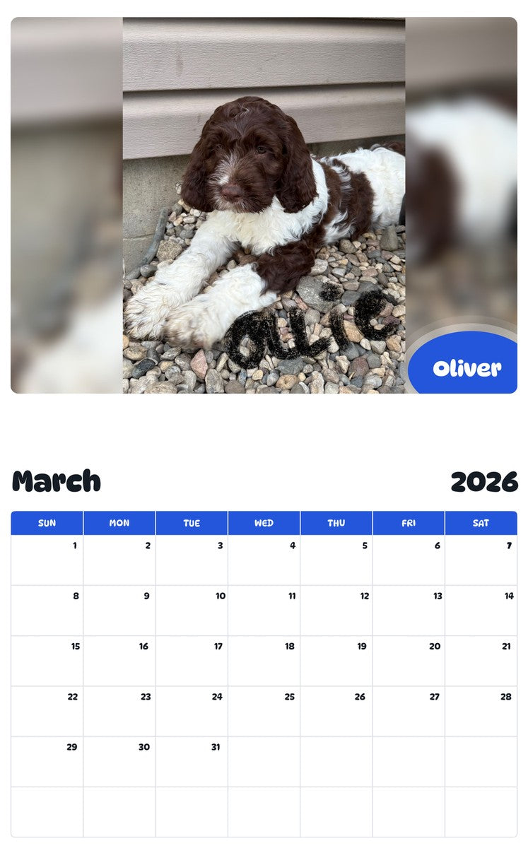 November 2025 - October 2026 Oliver - Pawidols Pet Calendar