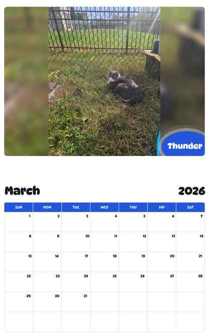 November 2025 - October 2026 Thunder - Pawidols Pet Calendar