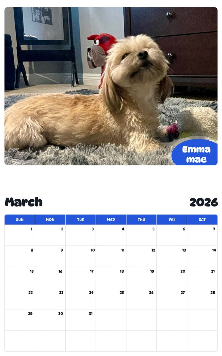 November 2025 - October 2026 Emma mae - Pawidols Pet Calendar