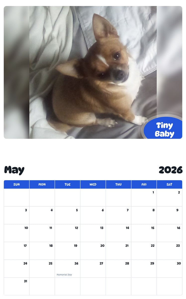 2026 - 2027 Tiny Baby - Pawidols Pet Calendar