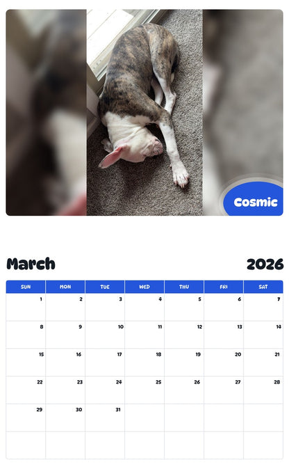 November 2025 - October 2026 Cosmic - Pawidols Pet Calendar